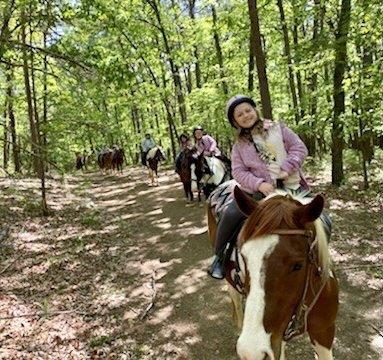 Woodstone Meadows Stables