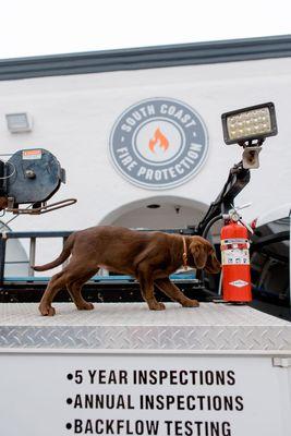 South Coast Fire Protection