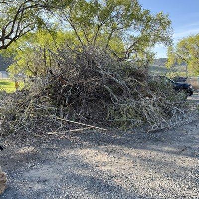 Basin Junk removal & lawn care