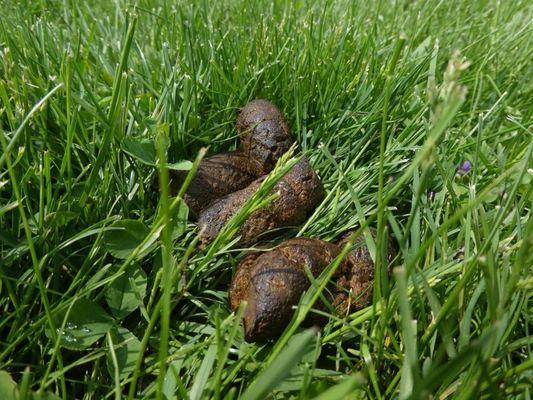 Jim's Motorcycle Sales of Johnson City