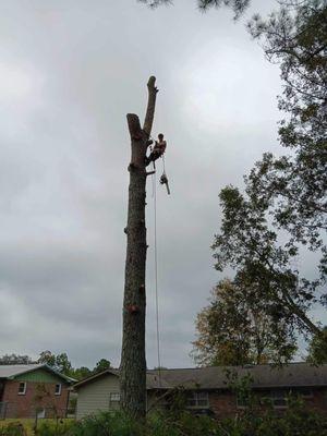 Chris's Quality Tree Service