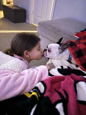 Tails of Love Animal Rescue