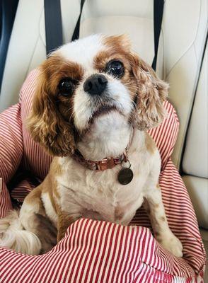 Leavenworth Pet Lodge & Grooming