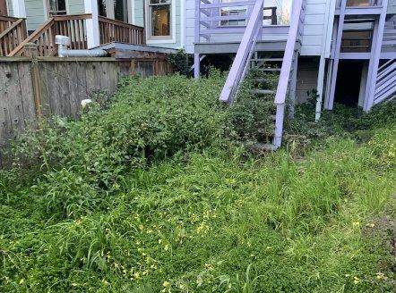 Seyranian Don Properties