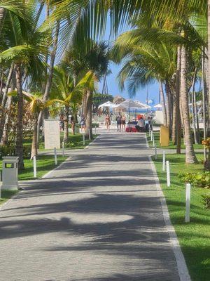 Donsonya Notary Service