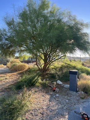 Guerrero’s Junk Hauling & Yard Clean Up