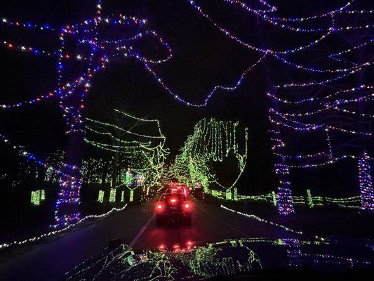 Celebration of Lights