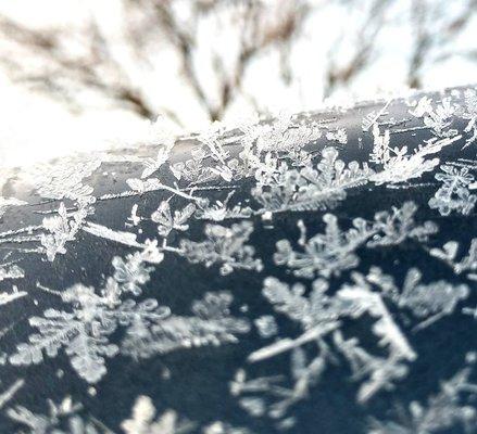 Brown's Auto Glazing & Detailing Shop