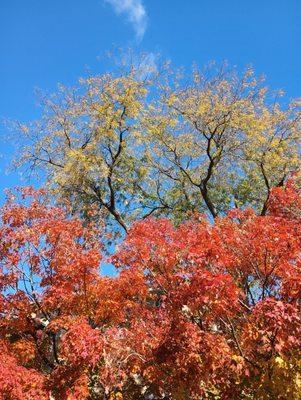 Norwood Park Township