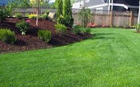 Malek’s Mowing Business