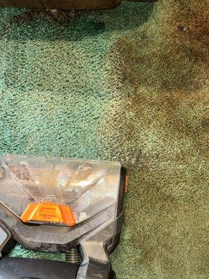 Tidy Up Cleaning Services