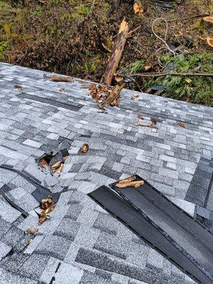 Chad's Handyman Services