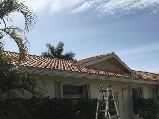 Seacoast Building and Design