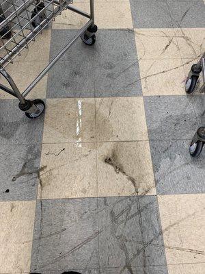 Water left unattended could've slipped horrible