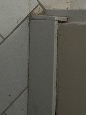 Edgewood Restoration