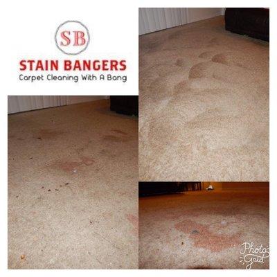 Stain Bangers