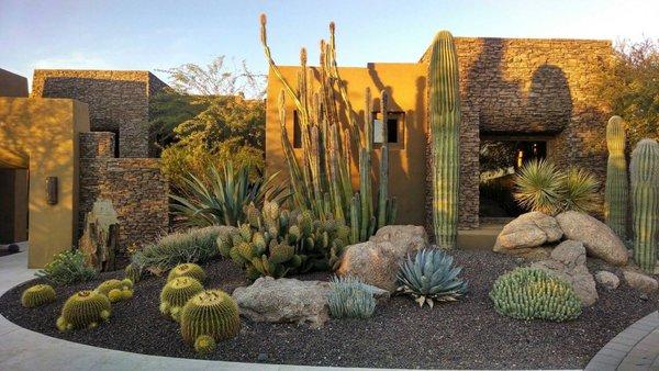 Ambassador Landscaping