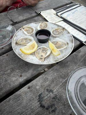 Oysters