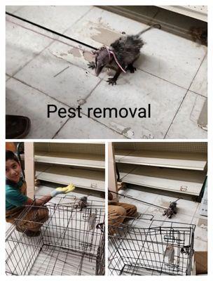 DC Handyman Services of McAllen