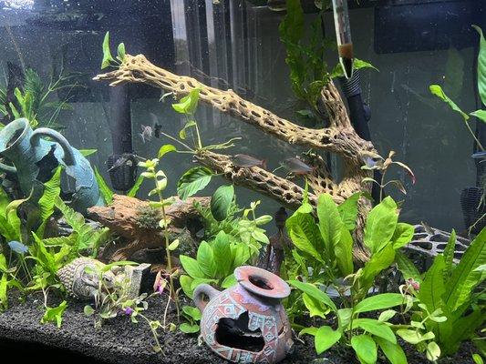 Lovely Pets Aquarium