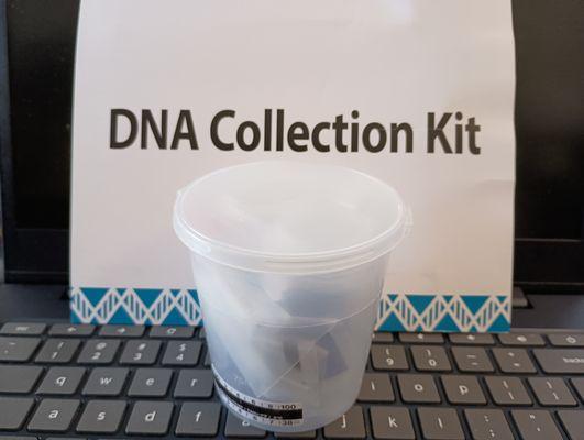 Drug And Alcohol Testing 15 min Out Of Your Time Next Day Results