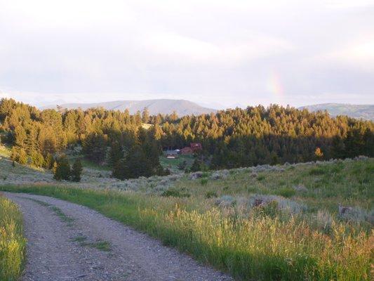 S T H - Seed Time Harvest