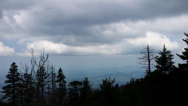 View from Le Conte Lodge