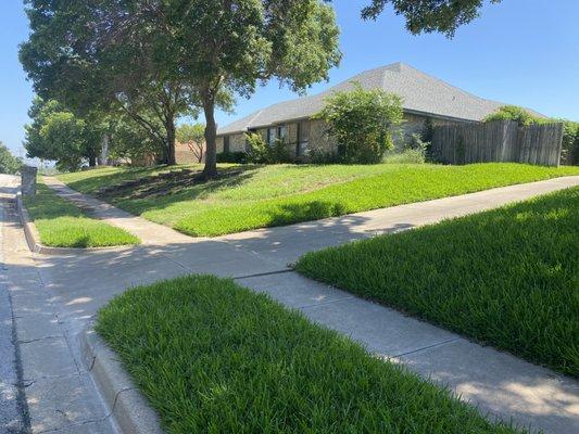 SRM Lawn & Tree Service