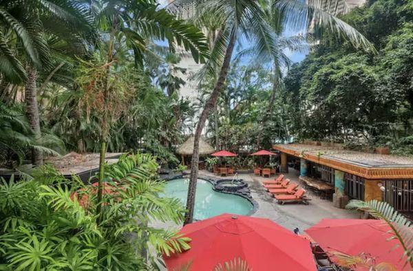 View from Stay Aloha 201
Find us on instagram @StayAloha201
Book today at www.airbnb.com/h/stayaloha201