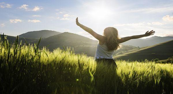 Naturopathic Wellness Center
