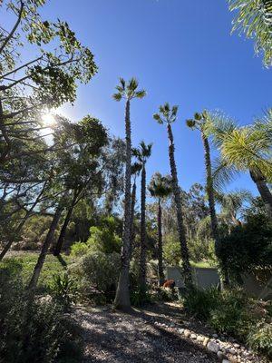 W&V Tree care and Landscape