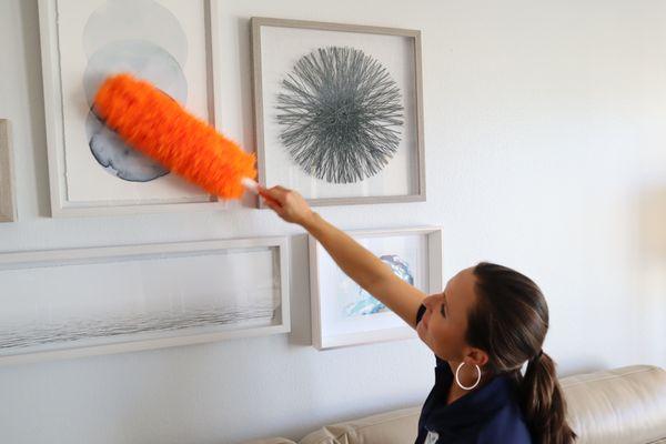 Blue Jay Cleaning Services