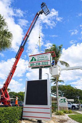 King Signs and Neons