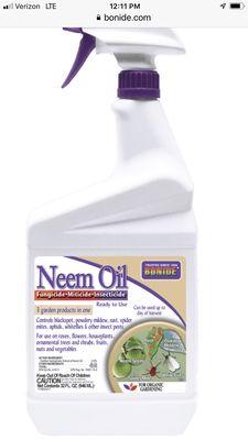NEEM OIL