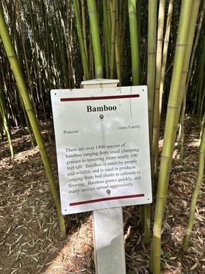 State Arboretum of Virginia