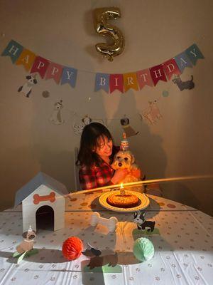 Animal Humane New Mexico