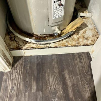 Again, instead of a new water heater, they patch that one together and then it started leaking. They were made aware.