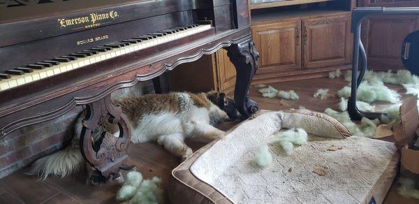 J's Handyman Services