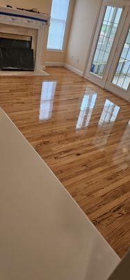 Ribeiro Pro Services