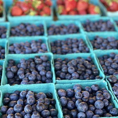 Harrisburg Farmers Market