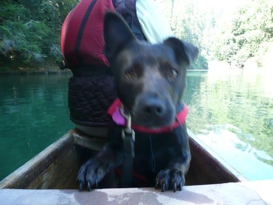 Severn River Pet Sitters