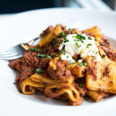 Bolognese