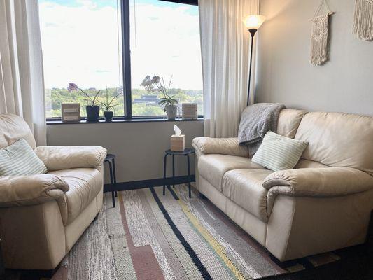 Office seating and view