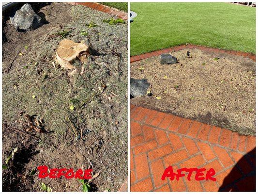 Greenfield Tree Care