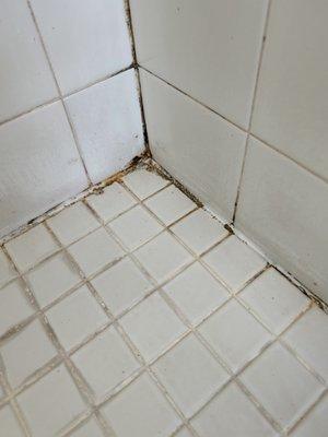 Sir Grout SW Florida