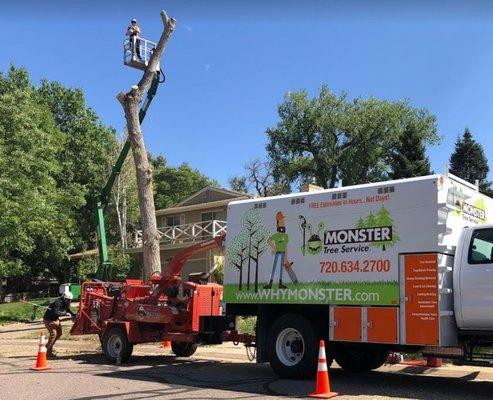Monster Tree Service of North Metro Denver