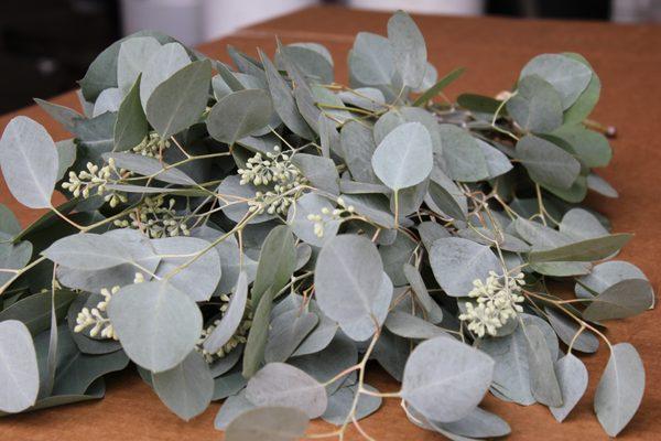 Beautiful Green, perfect for luxury wedding decorations...