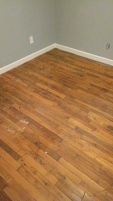 Fox's Crafted Concepts