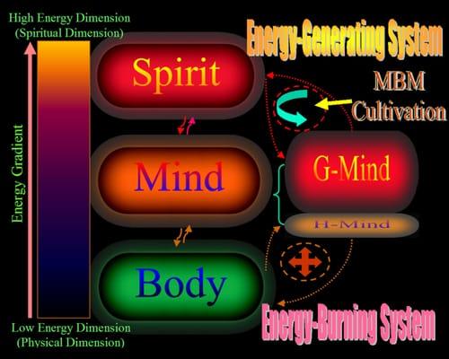 All-In-One Energy Therapy & Brainwave-Meridian Therapy