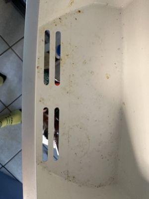 Our Family’s Original Touch Cleaning